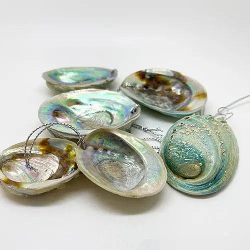 Extra Large Abalone Paua Shell Pieces for Jewelry Making