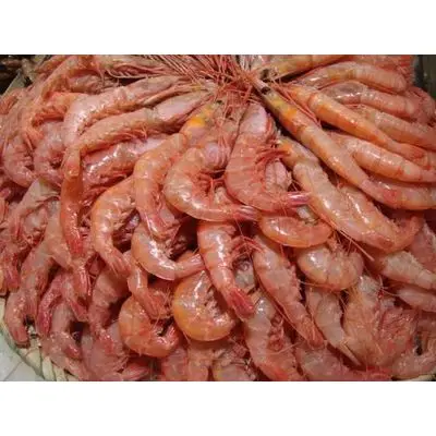 Souther Red Rock Lobster Frozen lobster tail Seasoned 100% Pure Lobster Tails whole sale Fresh