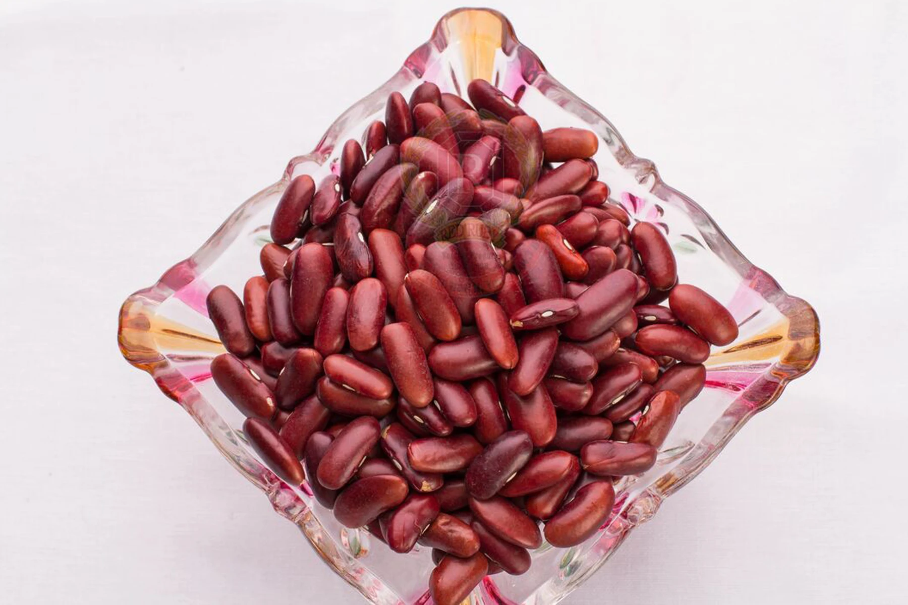 Dark Red Kidney Beans / Common Beans Dark Red / Phaseolus vulgaris (Red Ruby)