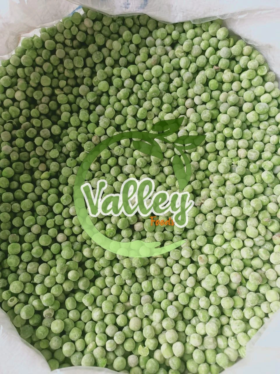 Замороженный зеленый горох IQF-Лучшая цена из египта оптом-высокое качество