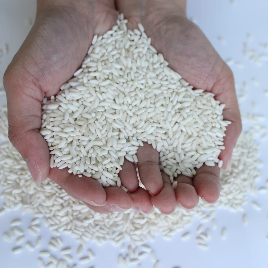 Оптовая продажа, высокое качество, липкий клейкий рис от лучшего поставщика во Вьетнаме-IR4625 /Long An Glutinous