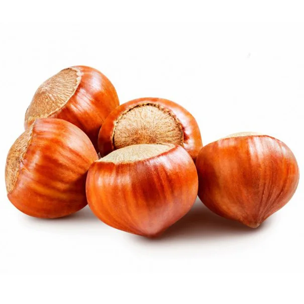 Natural Taste Quality Blanched Hazelnuts/ Organic Hazel Nuts OEM shell Box Style Packaging hazelnut shell