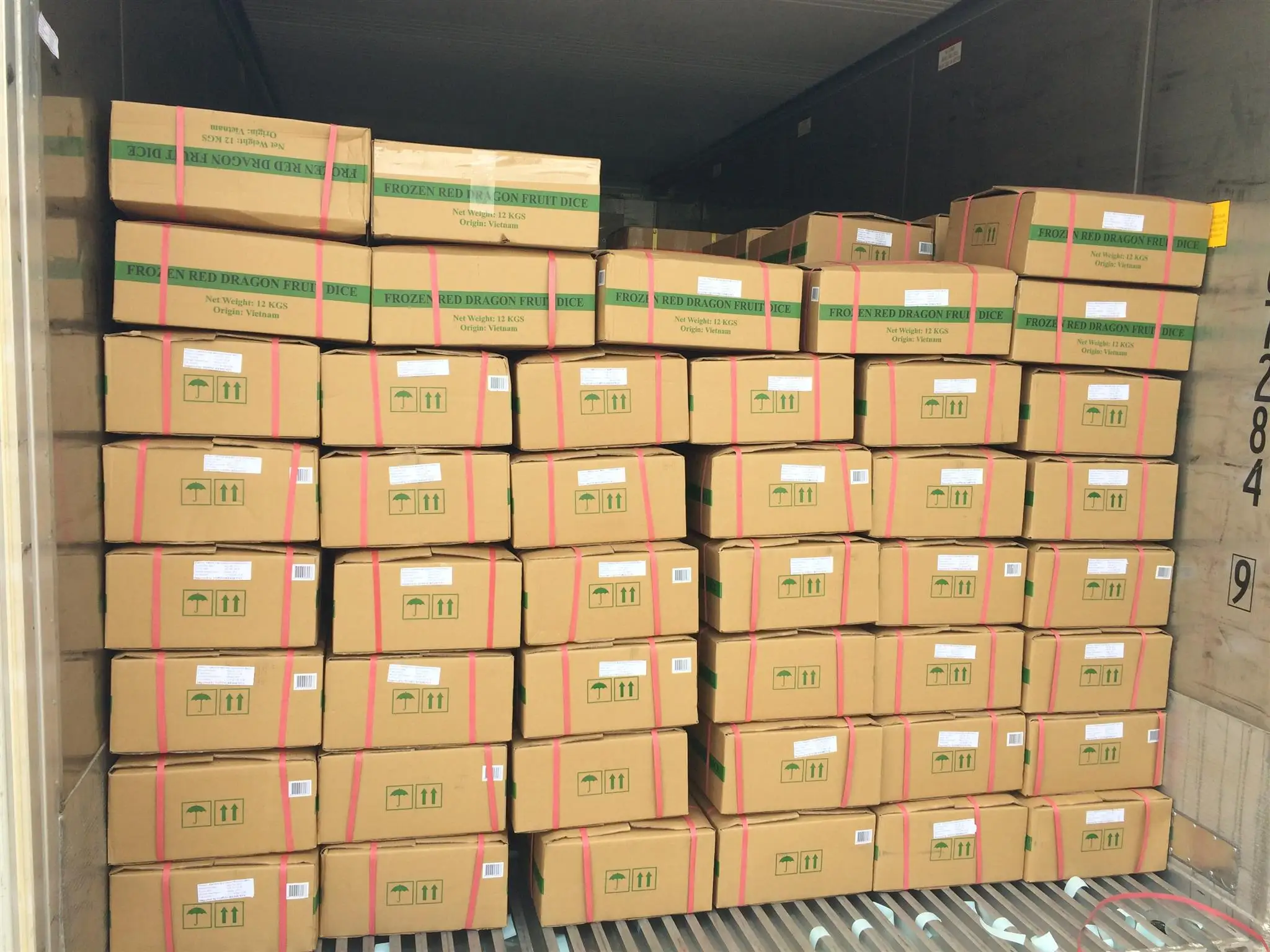 Soft Dried White/Red Dragon Fruit / Pitaya Fruit for export 2022 (Mobile/ WA: 0084 866 078 412 Joyce)