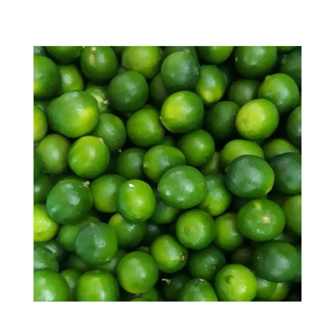 Fresh Green Citrus Fruit- Fresh Lemon In Vietnam From Farm Wholesale Fresh Lime