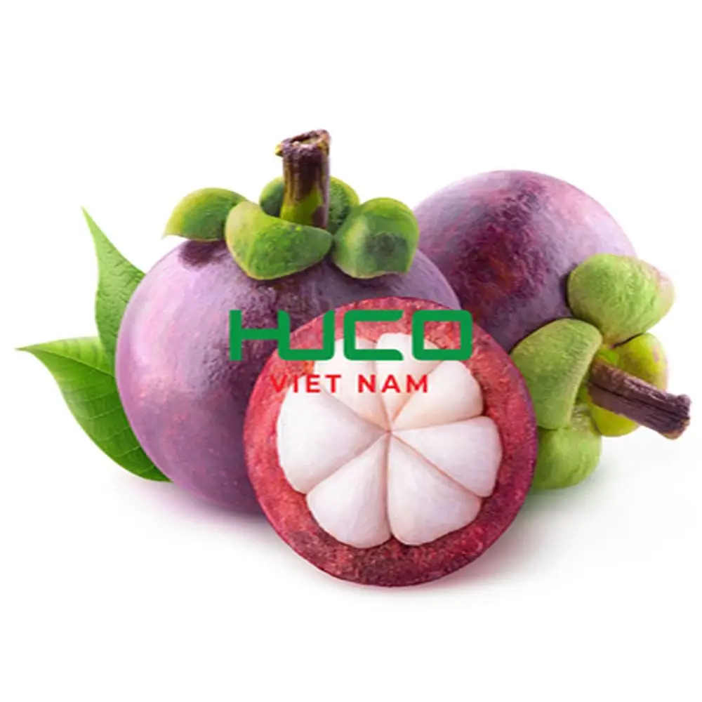 Tropical Fruit Fresh And Sweet Mangostreen No Preservative Special Taste Natural Premium Quality Steamed Fresh Mangosteen