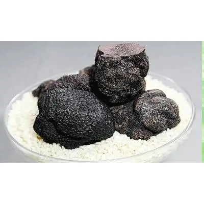 Discount Fresh black truffle hooked black truffle mushrooms