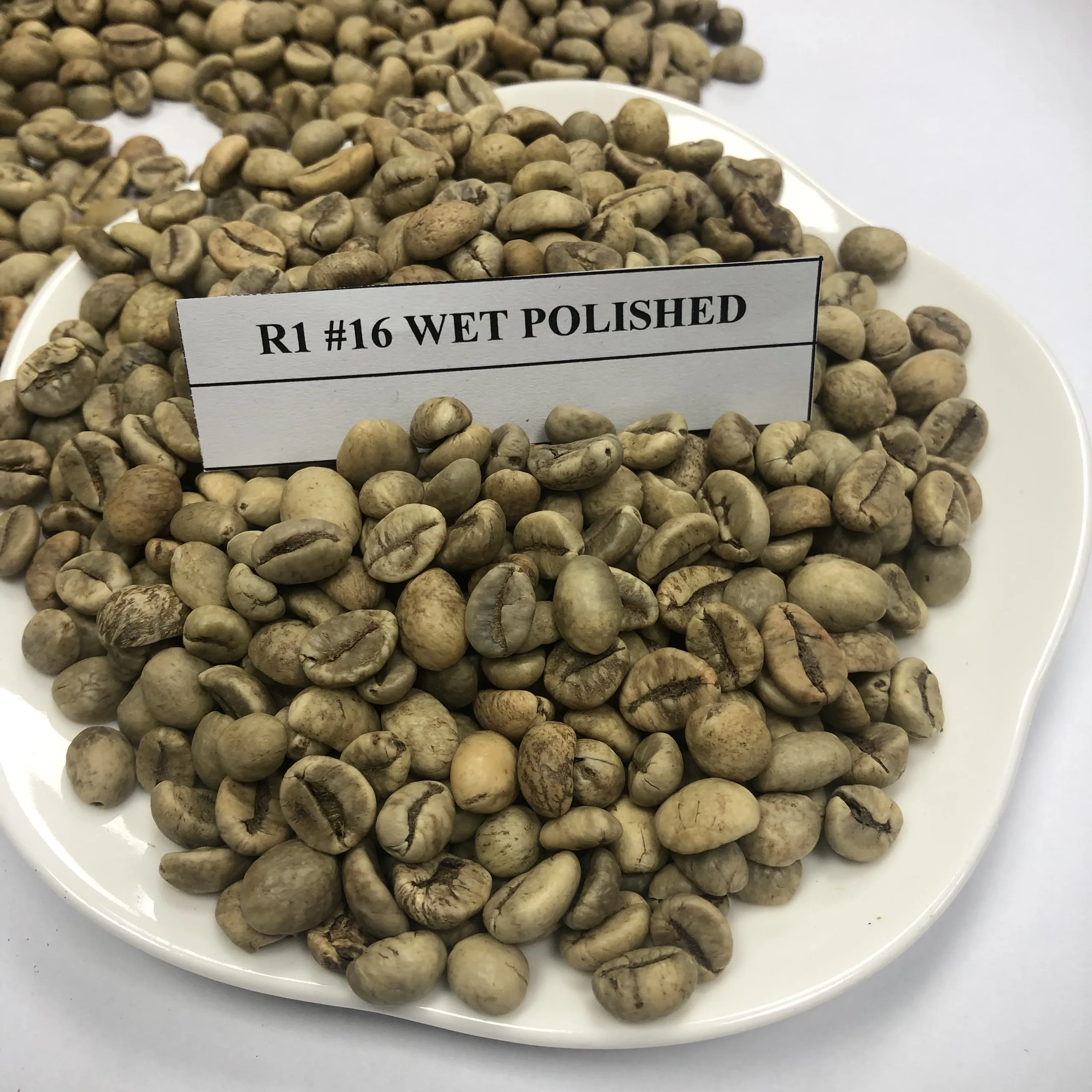 [Бесплатный образец] Импортные вьетнамские зеленые кофейные зерна ROBUSTA оптом от надежного поставщика +