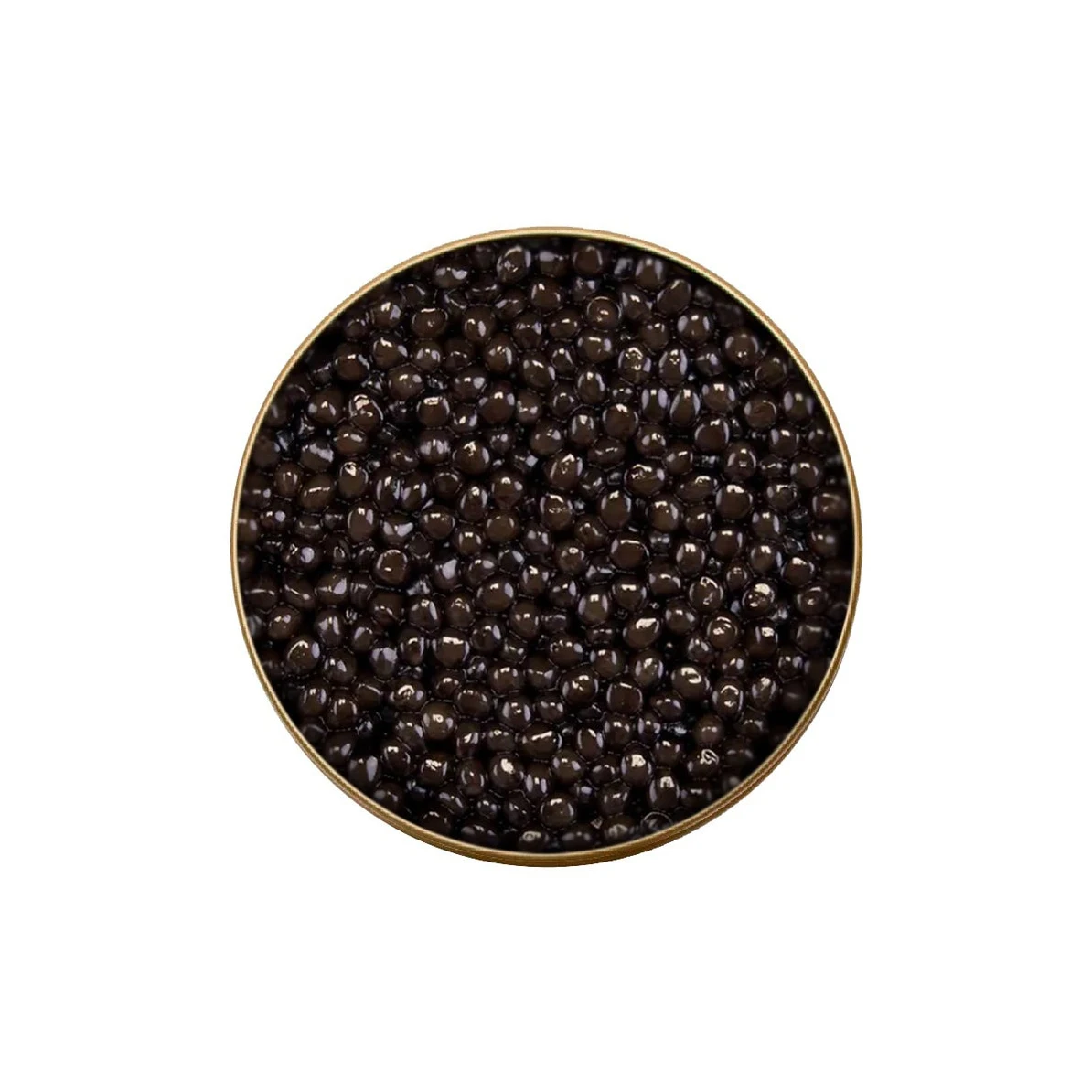 Tin Cans for FROSISTA HYBRID STURGEON CAVIAR Tuna Fish