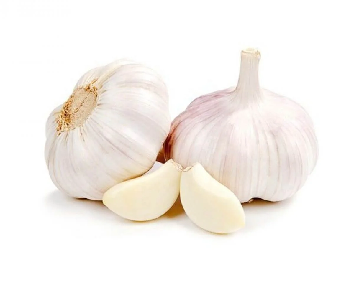 Vietnam Ly Son Fresh Natural Garlic Price For Import/ Export- New crop, Hot sales