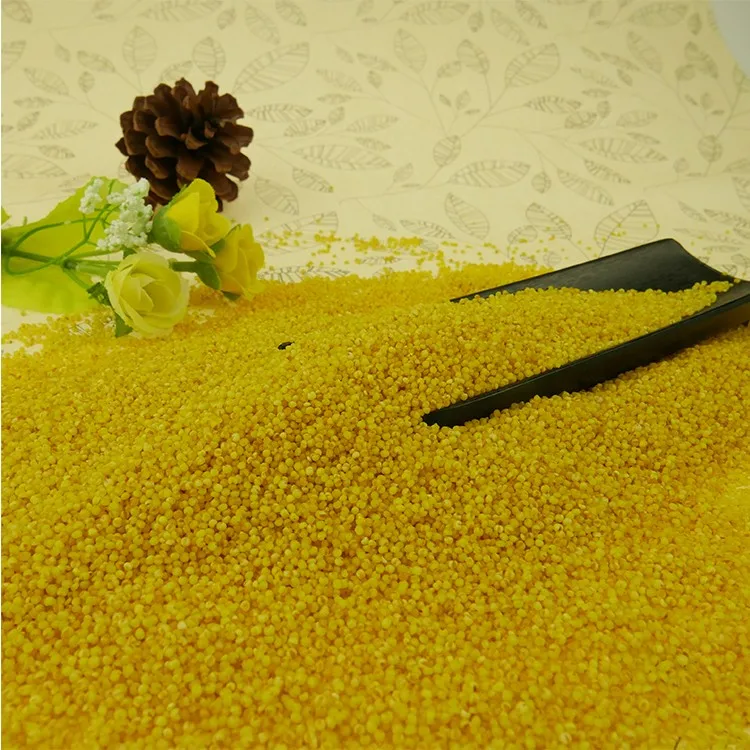 Millet supplier hulled yellow pearl millet grain