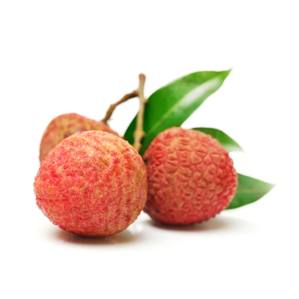 High Quality Fresh Fruit From Vietnam Wholesale Fresh Lychee Best Price For Tropical Fruit Ready To Ship