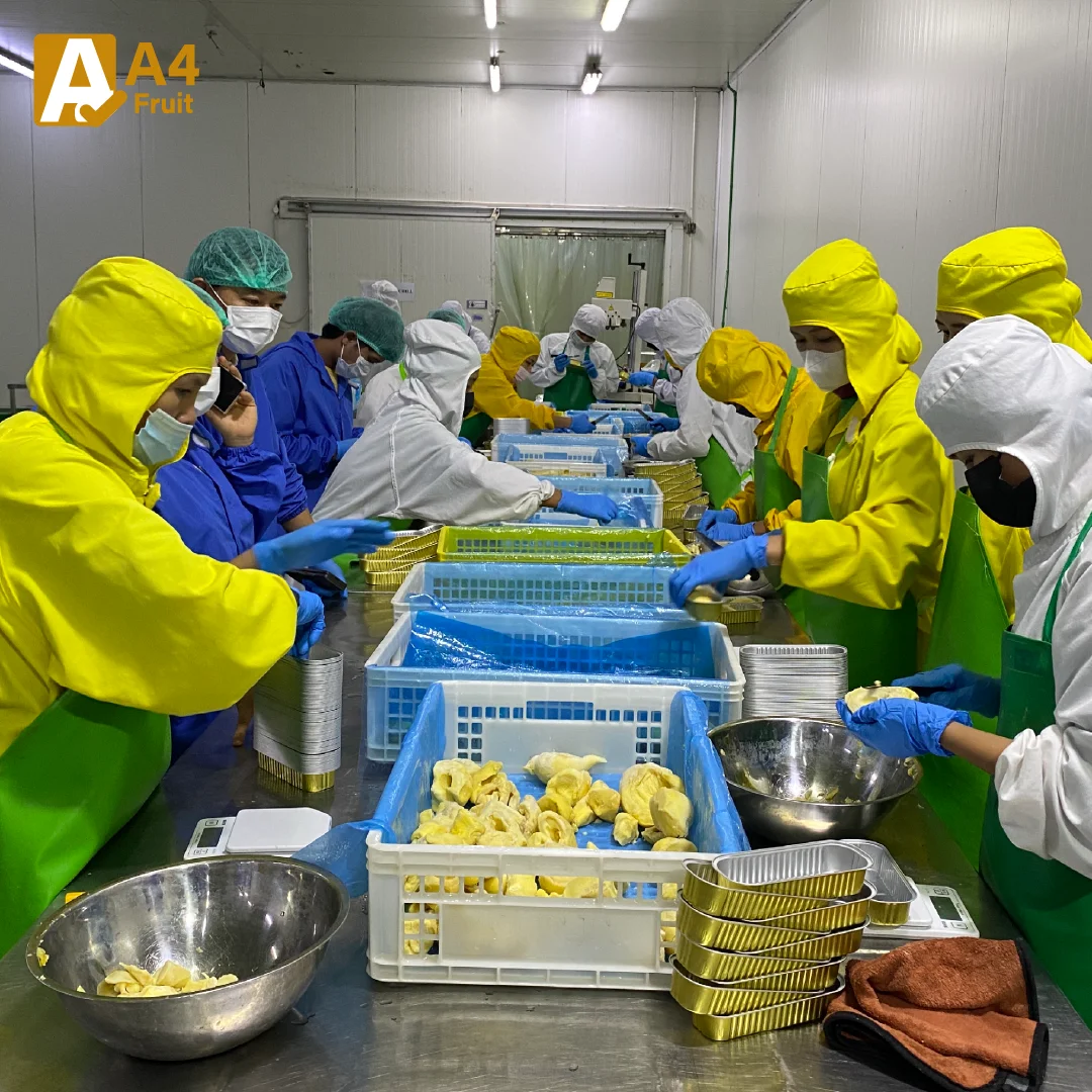 Premium Grade Monthong Durian - Available fresh and frozen, delivering rich taste and top-tier quality from Thailand.