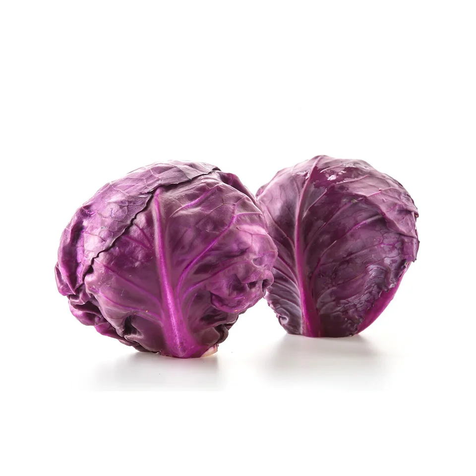 Высокое качество, различные овощи, свежая фиолетовая капуста, сделано во вьетнаме по конкурентоспособной цене, экспорт по всему миру