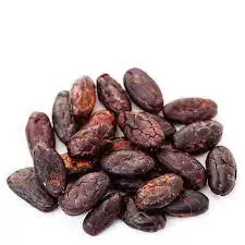 Top Quality Manufacturer Wholesale Bulk Cocoa Beans / Raw Coco Beans