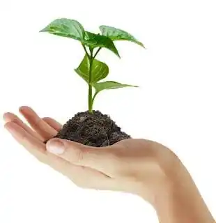 Gypsum Natural Agricultural Gypsum Powder  Fertilizer