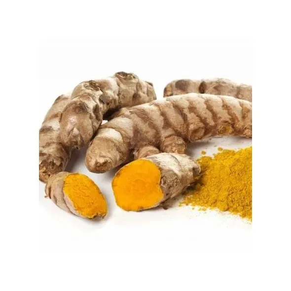 Spices & Herbs Turmeric Powder Indian Turmeric Powder Finger and Broken