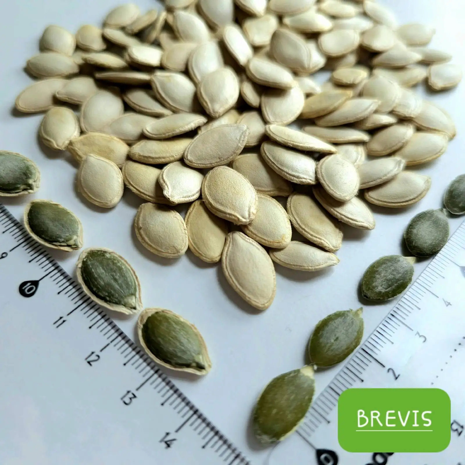 Pumpkin seeds Inshell Food & Bavereges Nuts & Kernels Shine Skin Wholesale Packaging BREVIS Raw BRS IFS