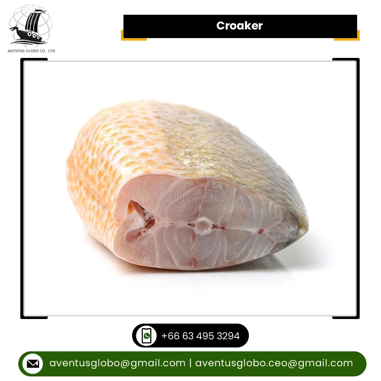 Most Wholesale Selling Premium Quality Natural and Pure Clean Seafood Frozen Croaker Fish from Thailand