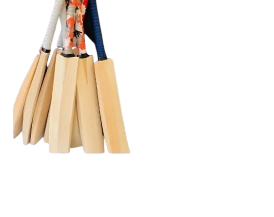 Comfortable Good Price Wooden Cricket Bat Players Edition Top Grade Quality Genuine English Willow Cricket Bat
