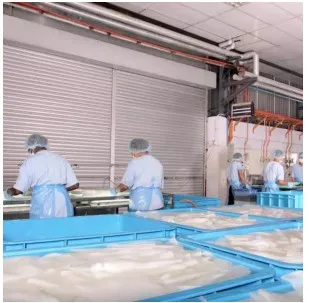 Лучшие продажи в 2024 кокосовое желе пудинг напиток/NATA DE COCO из Вьетнама по лучшей цене и вкусно.