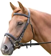 Hot Sale Attractive Black Genuine Leather Bridle Leather Horse Briddle with Decorative Crystal for Horse Riding Curry Combs