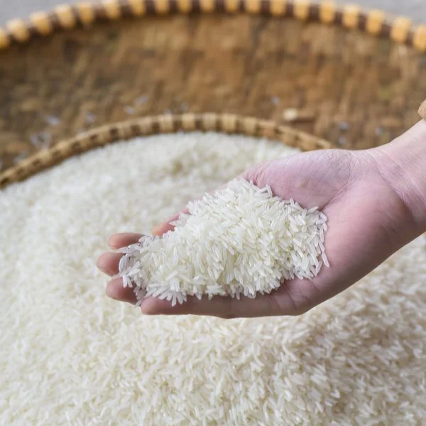 [Havigo] Vietnam Rice Jasmine High Quality Superior Taste Dried and Fresh Jasmine Rice Best Rice at a Competitive Price