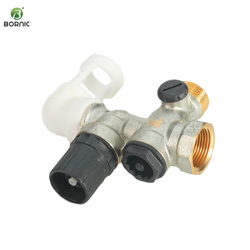 Brass 1/2' Safety Valve With Built In Check Valve For Backflow Prevention