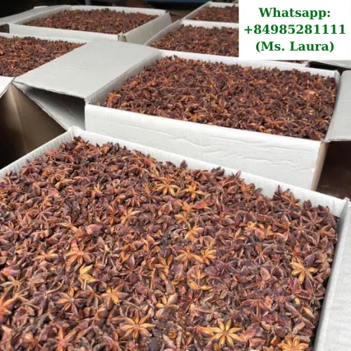 Осенний и весенний Звездный анис высокого качества от Вьетнама WhatsApp + 84 985281111