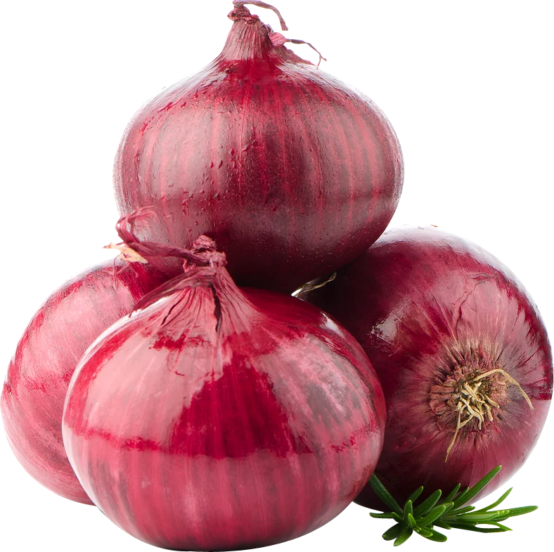 High Selling Organically Grown Red Onion Exporters at Best Wholesale Rates Exported From India By Best Suppliers