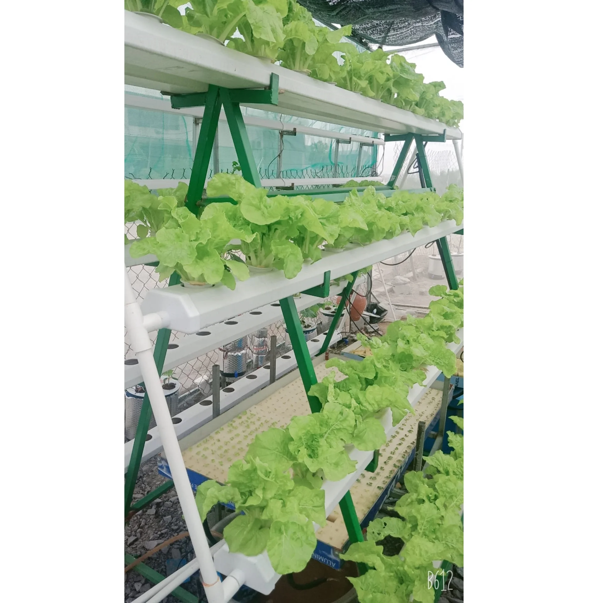 104 Planting Holes Garden Irrigation Plastic PVC Automatic Hydroponic Vegetable Growing System With Substrate