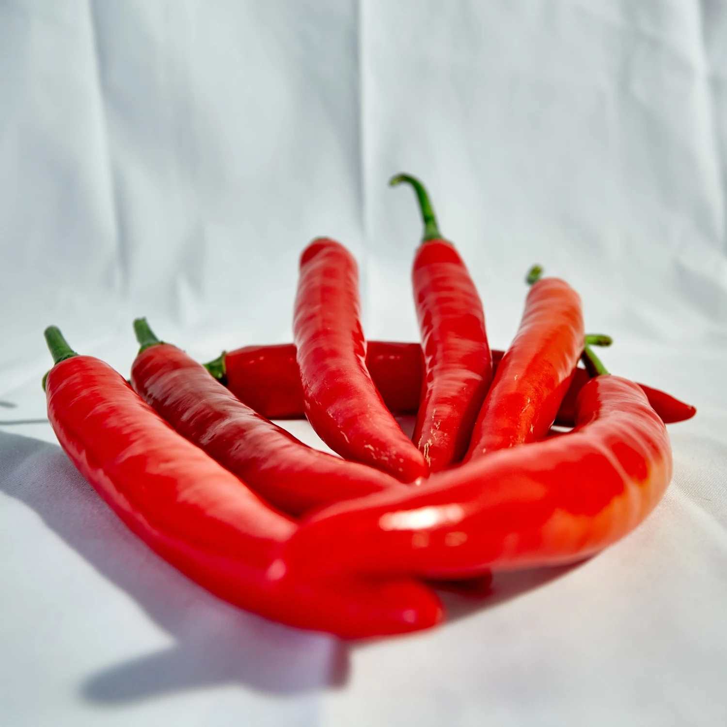 Wholesale Vietnam Of Cheapest Price Fresh Chili Pepper Fresh Capsicum 100% Natural Seasoning New Crop Chili Pepper High Quality