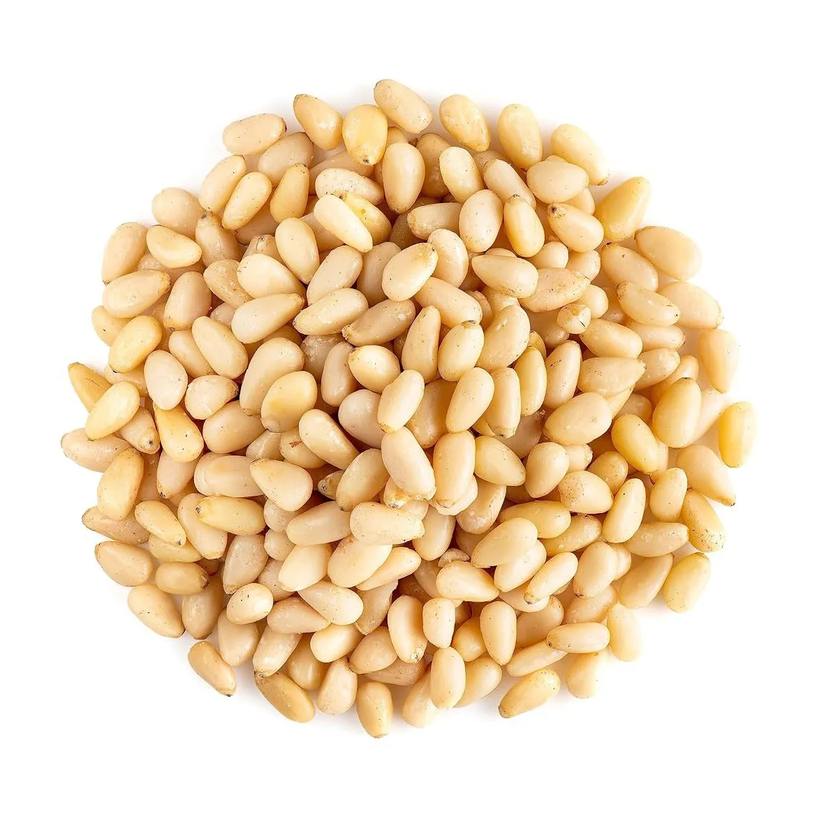 Good Quality Top Selling Pine Nuts Chilgoza Available In Custom Packing