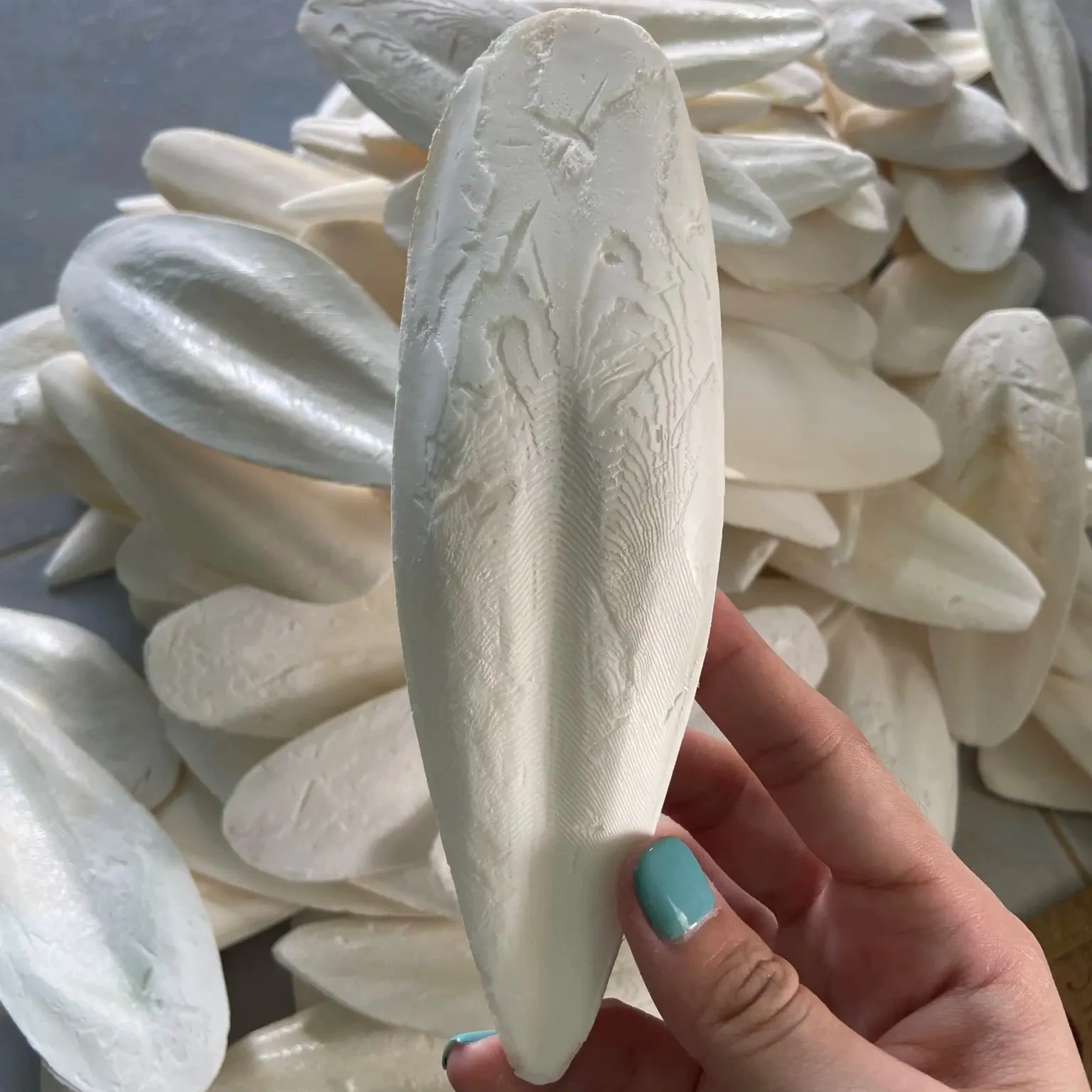 Leading products of cuttlefish bones from Vietnam 2023- Cheap prices at the end of the year