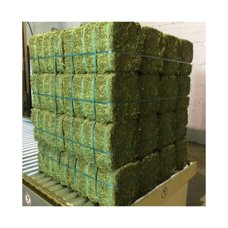 Alfalfa Hay cubes High quality product , fresh crop ready to export 2023 Fresh / Dry Timothy Hay
