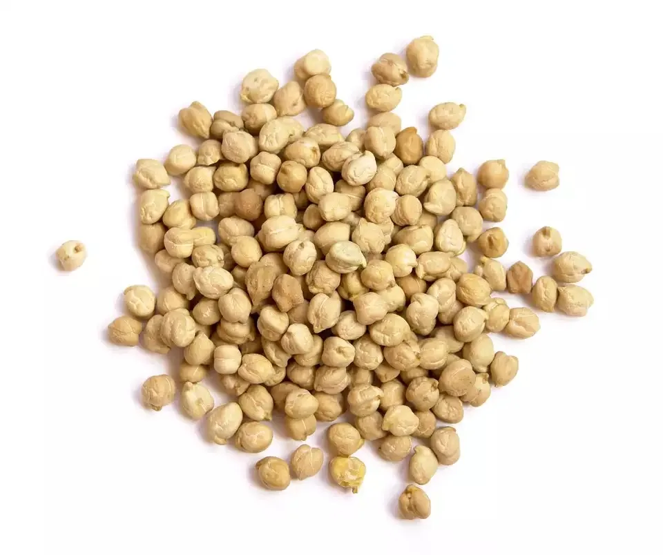 Export Supplier Wholesale Best Price Hot Sell Enriched Grains Roasted Dried Chickpeas Price