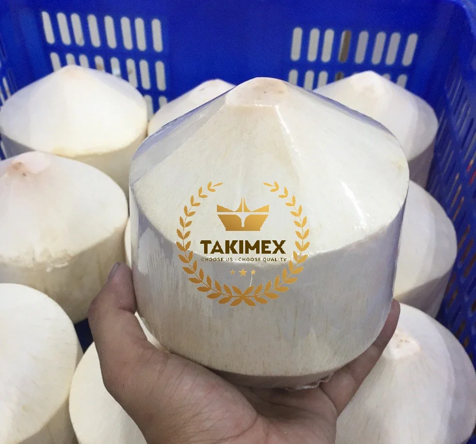 Premium Fresh Young Coconut FRESH XIEM COCONUT extremely Sweet from VIETNAM Young Green Diamond Tropical OEM