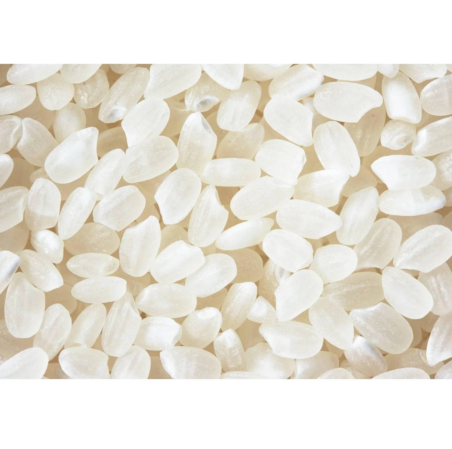 Хорошее качество разумная цена лидер продаж японский рис 5% сломанный (рис с круглым зерном)