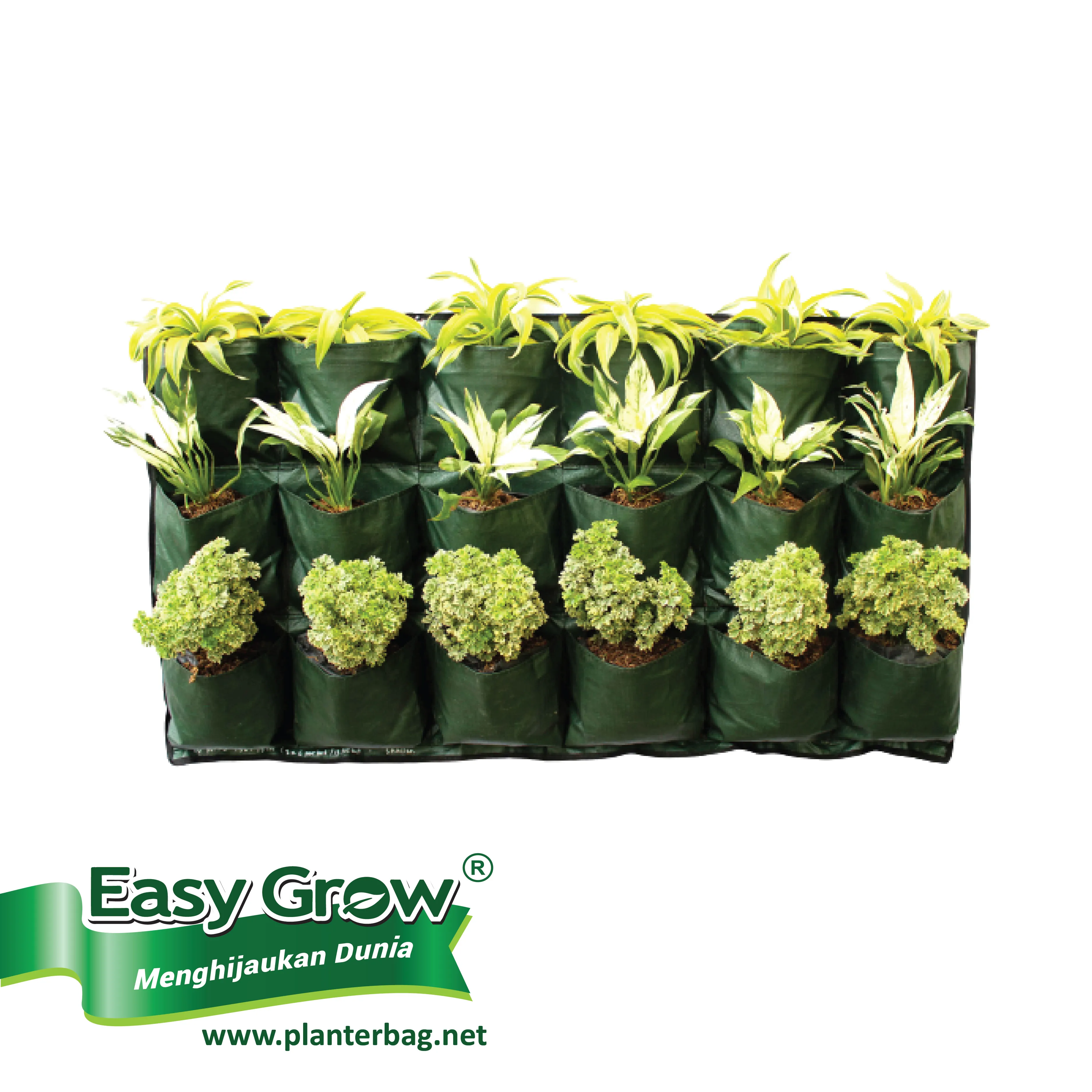 New Design Hanging Plastic Planter green wall planter flower pots & Planter 8 9 10 12 Pockets for Vertical garden
