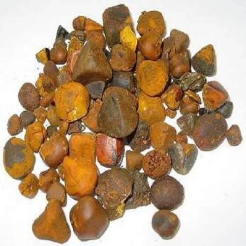 With Best Price Ox Gallstones Dried 80/20 Cow/ox/cattle Gallstones for Export Ox Ox Gallstones Price