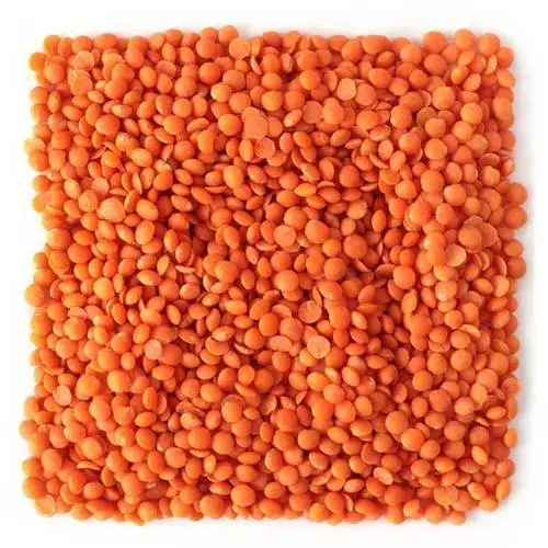 Quality Red Lentils/Green Lentils/ Yellow Lentils