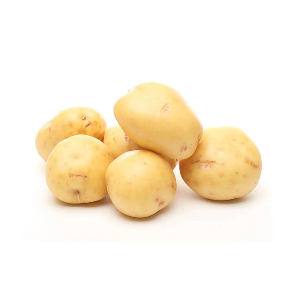 Fresh White Potato from Pakistan export quality white skin potato cheap price potato with customized packing