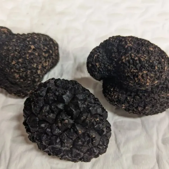 Премиум дикий черный трюфель свежий и ароматный гриб для гурманов | Редкий деликатес