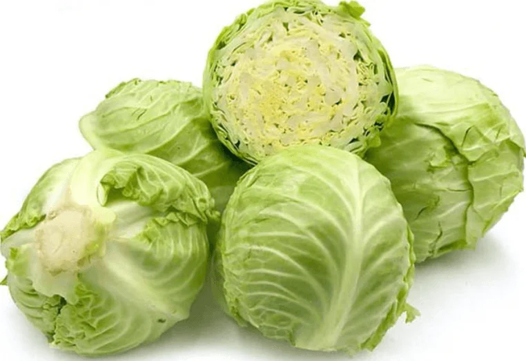 Premium Quality Fresh Cabbage 1-2.5kg/pcs Sakata With Customized logo and packaging made in Vietnam 2023