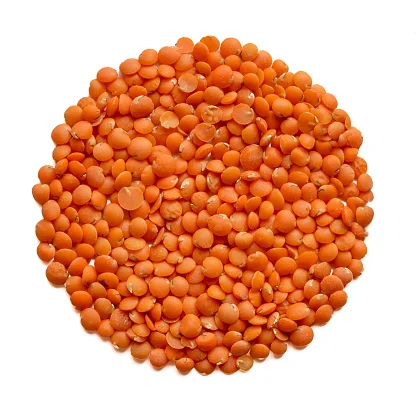 Dal Gram упаковка джутовая полка чистое происхождение сушеный продукт модель выращивание чечевицы месяцы