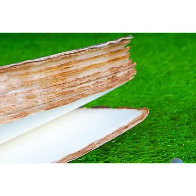 unique diaries office supplies paper notebooks  - Collectible Deluxe Gift Edition - Hardcover - Best Wholesaler - Classic Book