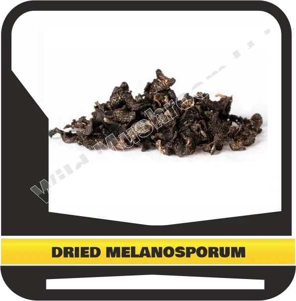 DRIED BLACK WINTER TRUFFLES MELANOSPORUM
