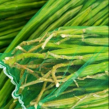 vegetable  drumsticks  best Price/ Wholesale Fresh Long Drumstick for sale