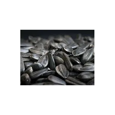 Cheap Price Natural Raw Black Large Size Sunflower Seeds 601 Sunflower Seed Kernels Wholesale Price Organic Bulk Sunflower Seeds