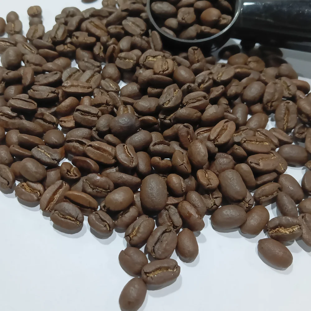 Premium Quality Whole Bean Sumatra Civet Coffee Specialty Grade Roasted for Connoisseurs including certificate