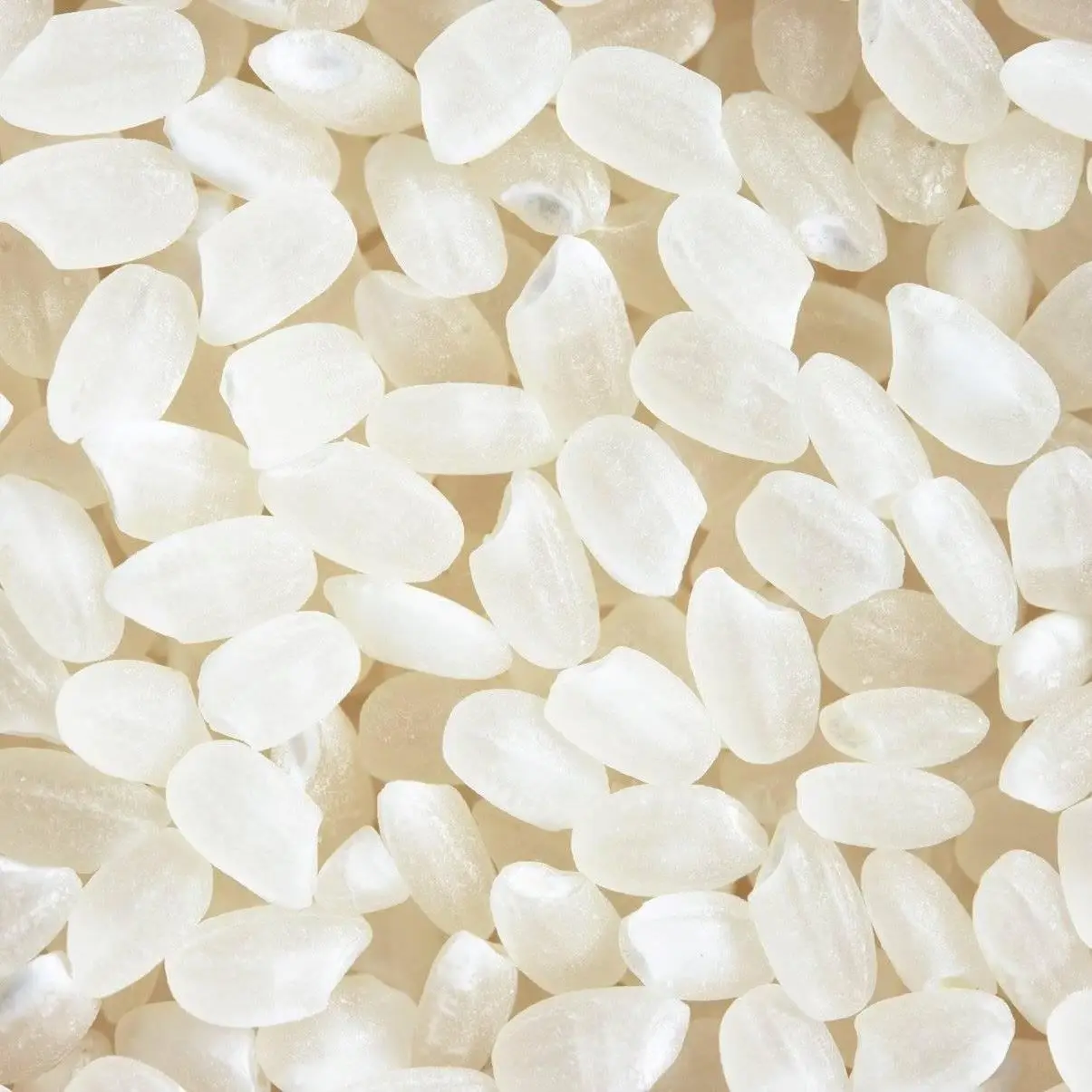 Japonica Rice With Best Price And High Quality Round Short Rice Vietnamese Rice For Exporting